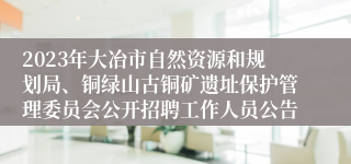 2023年大冶市自然资源和规划局、铜绿山古铜矿遗址保护管理委员会公开招聘工作人员公告