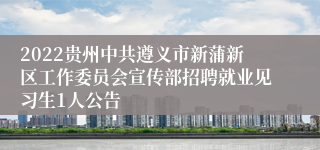 2022贵州中共遵义市新蒲新区工作委员会宣传部招聘就业见习生1人公告