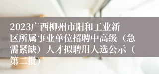 2023广西柳州市阳和工业新区所属事业单位招聘中高级（急需紧缺）人才拟聘用人选公示（第二批）