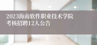 2023海南软件职业技术学院考核招聘12人公告