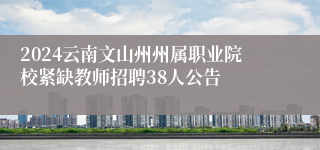 2024云南文山州州属职业院校紧缺教师招聘38人公告