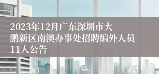 2023年12月广东深圳市大鹏新区南澳办事处招聘编外人员11人公告