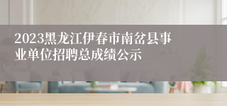 2023黑龙江伊春市南岔县事业单位招聘总成绩公示