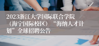 2023浙江大学国际联合学院（海宁国际校区）“海纳人才计划”全球招聘公告