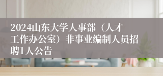 2024山东大学人事部（人才工作办公室）非事业编制人员招聘1人公告