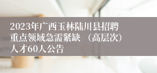 2023年广西玉林陆川县招聘重点领域急需紧缺 （高层次）人才60人公告
