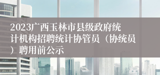 2023广西玉林市县级政府统计机构招聘统计协管员（协统员）聘用前公示