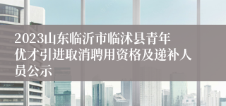 2023山东临沂市临沭县青年优才引进取消聘用资格及递补人员公示