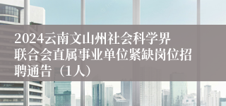 2024云南文山州社会科学界联合会直属事业单位紧缺岗位招聘通告（1人）