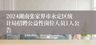 2024湖南张家界市永定区统计局招聘公益性岗位人员1人公告