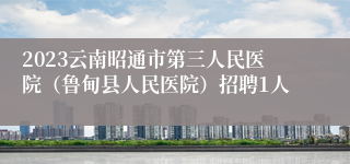 2023云南昭通市第三人民医院（鲁甸县人民医院）招聘1人