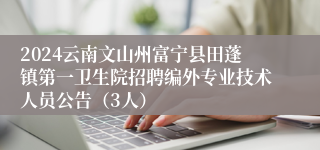 2024云南文山州富宁县田蓬镇第一卫生院招聘编外专业技术人员公告（3人）