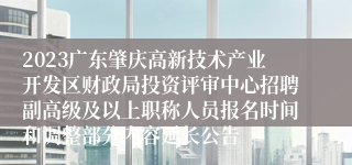 2023广东肇庆高新技术产业开发区财政局投资评审中心招聘副高级及以上职称人员报名时间和调整部分内容延长公告