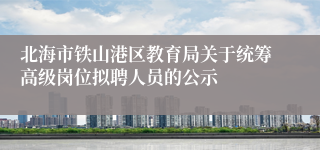 北海市铁山港区教育局关于统筹高级岗位拟聘人员的公示