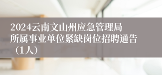 2024云南文山州应急管理局所属事业单位紧缺岗位招聘通告（1人）