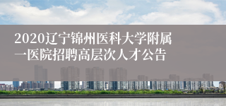 2020辽宁锦州医科大学附属一医院招聘高层次人才公告