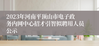 2023年河南平顶山市电子政务内网中心招才引智拟聘用人员公示