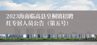 2023海南临高县皇桐镇招聘红专居人员公告（第五号）