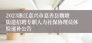 2023浙江嘉兴市嘉善县魏塘街道招聘专职人力社保协理员体检递补公告