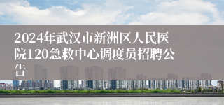 2024年武汉市新洲区人民医院120急救中心调度员招聘公告