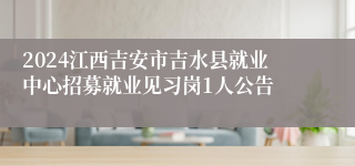 2024江西吉安市吉水县就业中心招募就业见习岗1人公告