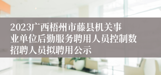 2023广西梧州市藤县机关事业单位后勤服务聘用人员控制数招聘人员拟聘用公示