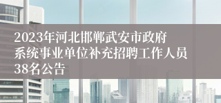 2023年河北邯郸武安市政府系统事业单位补充招聘工作人员38名公告