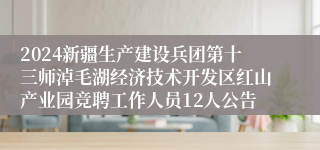 2024新疆生产建设兵团第十三师淖毛湖经济技术开发区红山产业园竞聘工作人员12人公告