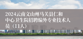 2024云南文山州马关县仁和中心卫生院招聘编外专业技术人员（11人）