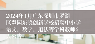 2024年1月广东深圳市罗湖区翠园东晓创新学校招聘中小学语文、数学、道法等学科教师6人公告