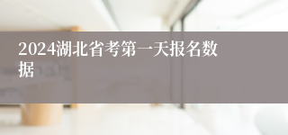 2024湖北省考第一天报名数据