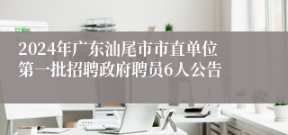 2024年广东汕尾市市直单位第一批招聘政府聘员6人公告 