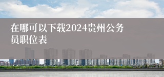 在哪可以下载2024贵州公务员职位表