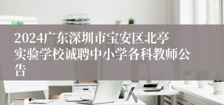 2024广东深圳市宝安区北亭实验学校诚聘中小学各科教师公告