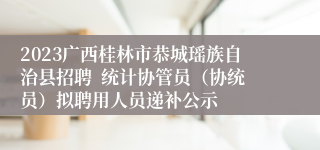 2023广西桂林市恭城瑶族自治县招聘  统计协管员（协统员）拟聘用人员递补公示