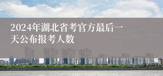 2024年湖北省考官方最后一天公布报考人数