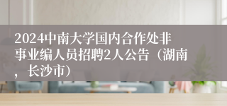 2024中南大学国内合作处非事业编人员招聘2人公告（湖南，长沙市）