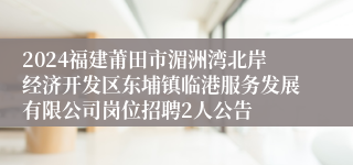 2024福建莆田市湄洲湾北岸经济开发区东埔镇临港服务发展有限公司岗位招聘2人公告