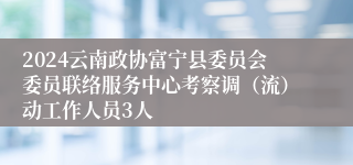 2024云南政协富宁县委员会委员联络服务中心考察调（流）动工作人员3人