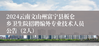 2024云南文山州富宁县板仑乡卫生院招聘编外专业技术人员公告（2人）