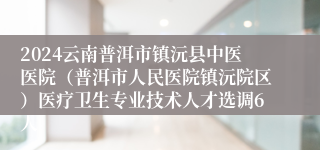 2024云南普洱市镇沅县中医医院（普洱市人民医院镇沅院区）医疗卫生专业技术人才选调6人