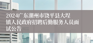 2024广东潮州市饶平县大埕镇人民政府招聘后勤服务人员面试公告