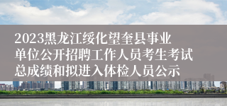 2023黑龙江绥化望奎县事业单位公开招聘工作人员考生考试总成绩和拟进入体检人员公示