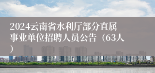 2024云南省水利厅部分直属事业单位招聘人员公告（63人）