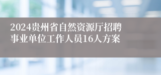 2024贵州省自然资源厅招聘事业单位工作人员16人方案