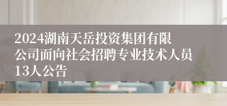 2024湖南天岳投资集团有限公司面向社会招聘专业技术人员13人公告