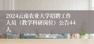 2024云南农业大学招聘工作人员（教学科研岗位）公告44人