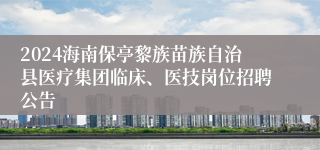 2024海南保亭黎族苗族自治县医疗集团临床、医技岗位招聘公告