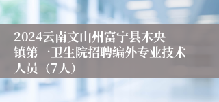 2024云南文山州富宁县木央镇第一卫生院招聘编外专业技术人员（7人）