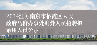 2024江苏南京市栖霞区人民政府马群办事处编外人员招聘拟录用人员公示